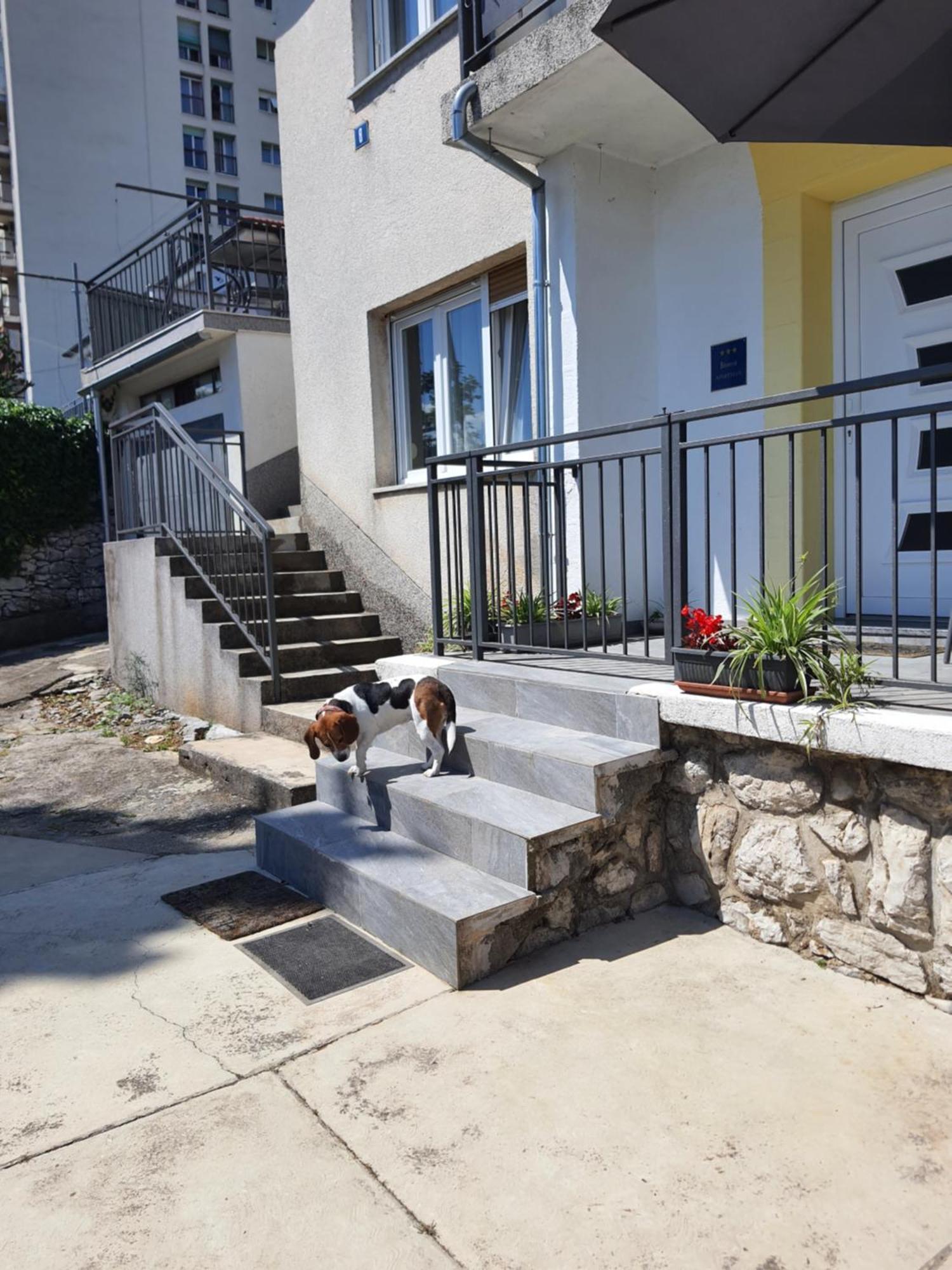 Apartman Sandra Rijeka Exterior photo